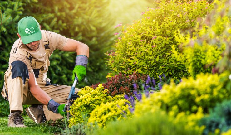 VB Gartenbau und Landschaftsbau Anlage und Pflege Garten