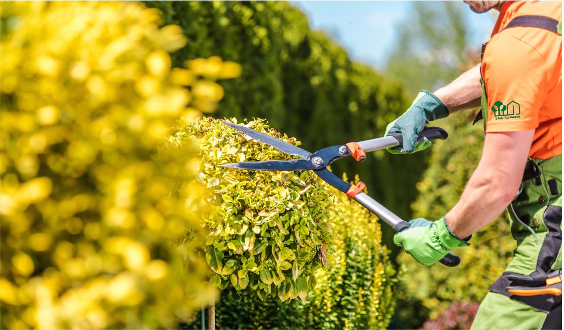 VB Gartenbau und Landschaftsbau Hecken schneiden